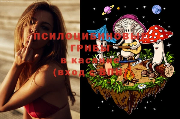 не бодяженный Елабуга