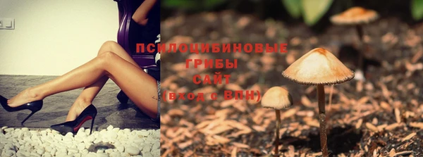 а пвп мука Дмитров